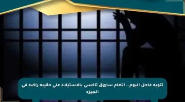 تنويه عاجل اليوم.. اتهام سائق تاكسي بالاستيلاء على حقيبة راكبة في الجيزة